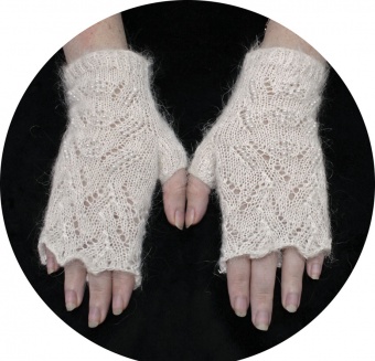 Gloves (B181)